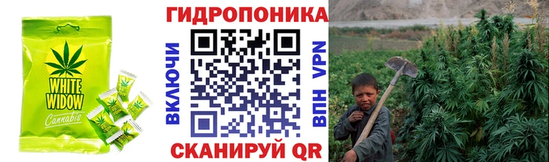 Cannafood марихуана  Купить где  Тихвин 