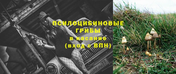 винт Арсеньев