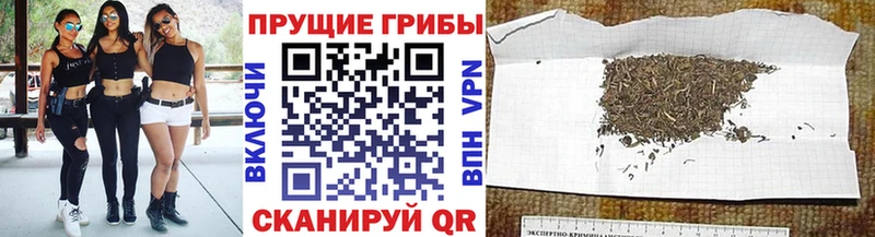 Купить закладки Тихвин Галлюциногенные грибы Cubensis
